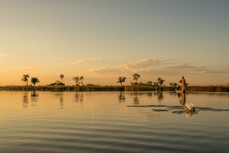 Botswana's Okavango Delta (Photo by Peter Moore)