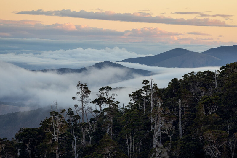 Abel Tasman National Park in New Zealand. (Photo by Rowan Nicholson)