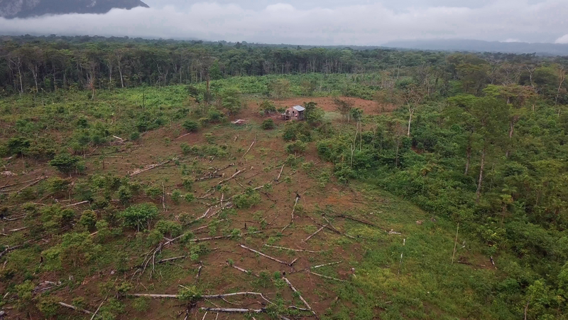 Deforestation in Honduras (Photo courtesy of WCS)