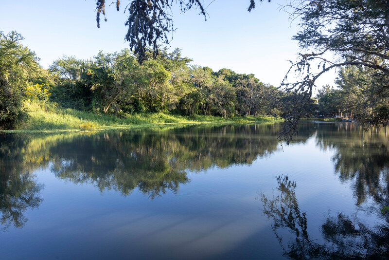 Teuchitlán River, Jalisco, Mexico (Photo by Manfred Meiners/Re:wild)