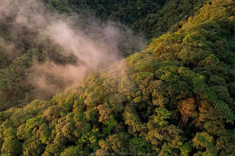 Intag Valley (Photo by Lucas Bustamante / @luksth)