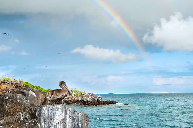 Galápagos National Park, environmental heroes, local communities and global funders unite on bold mission to restore the Galápagos Islands and beyond