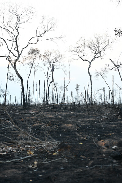 Two protected areas in the Brazilian Amazon's southern region, including the São Benedito and Azul Rivers Wildlife Refuge, have already lost 10% of their forests to fire and there is no sign of the fires letting up.   (Photo by Gustavo Figueirôa/Rede Pro UC)