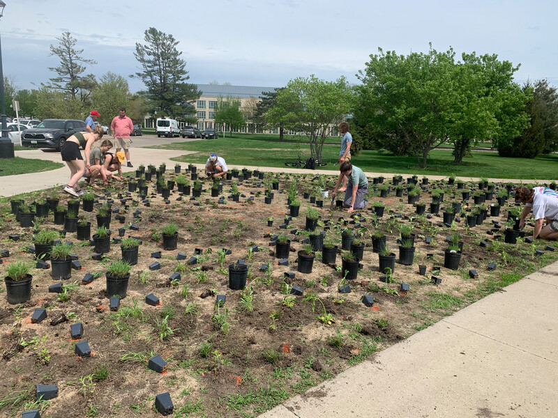 Grinnell College's prairie restoration project  Photo by Re:wild Your Campus
