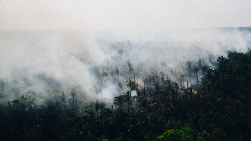 Fires in the Bolivian Amazon in 2019. (Photos by @oxygenseven)