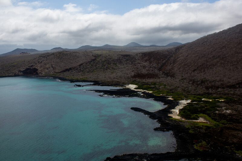 Re:wild, Island Conservation and Galápagos National Park Directorate will work together to restore Floreana Island (pictured here), home to 54 threatened species, and reintroduce 13 locally extinct species, including the Floreana mockingbird—the first mockingbird described by Charles Darwin. (Photo courtesy of Island Conservation)