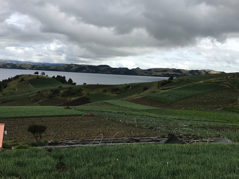 Lake Tota, Colombia, where an expedition searching for the Fat Catfish one of the top 25 most wanted lost species will focus. (Photo by Carlos A. Lasso)