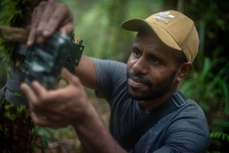 Gison Morib, with Cenderawasih University (UNCEN), setting up camera traps in search of Attenborough’s long-beaked echidna (Photo by Expedition Cyclops 2023)