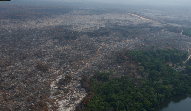 Two protected areas in the Brazilian Amazon's southern region, including the São Benedito and Azul Rivers Wildlife Refuge, have already lost 10% of their forests to fire and there is no sign of the fires letting up.   (Photo by Gustavo Figueirôa/Rede Pro UC)