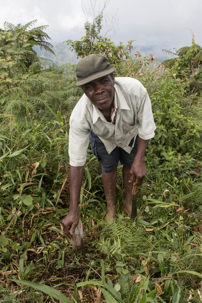 Hired local community member tending to native plants at Haiti National Trust nursery.