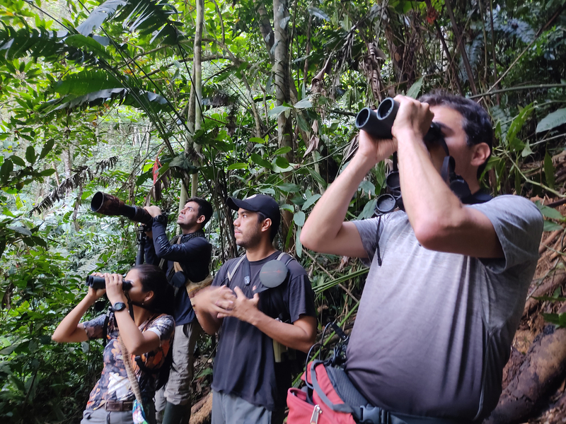 Members of the expedition team searching for the Sinú parakeet. The team searched the Murrucucú Mountains in Córdoba department in Colombia. Though the team did not find the Sinú parakeet they found many other rare species, some that had never been documented in the department before. (Carlos Bran-Castrillón/Uraba Nature Tours)